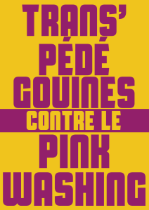 Affiche Pinkwashing